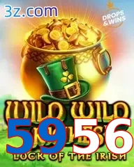 5956